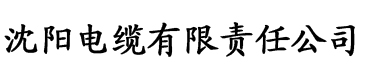 亚洲高清揄拍自拍电缆厂logo